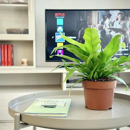 아파트 Max 로마